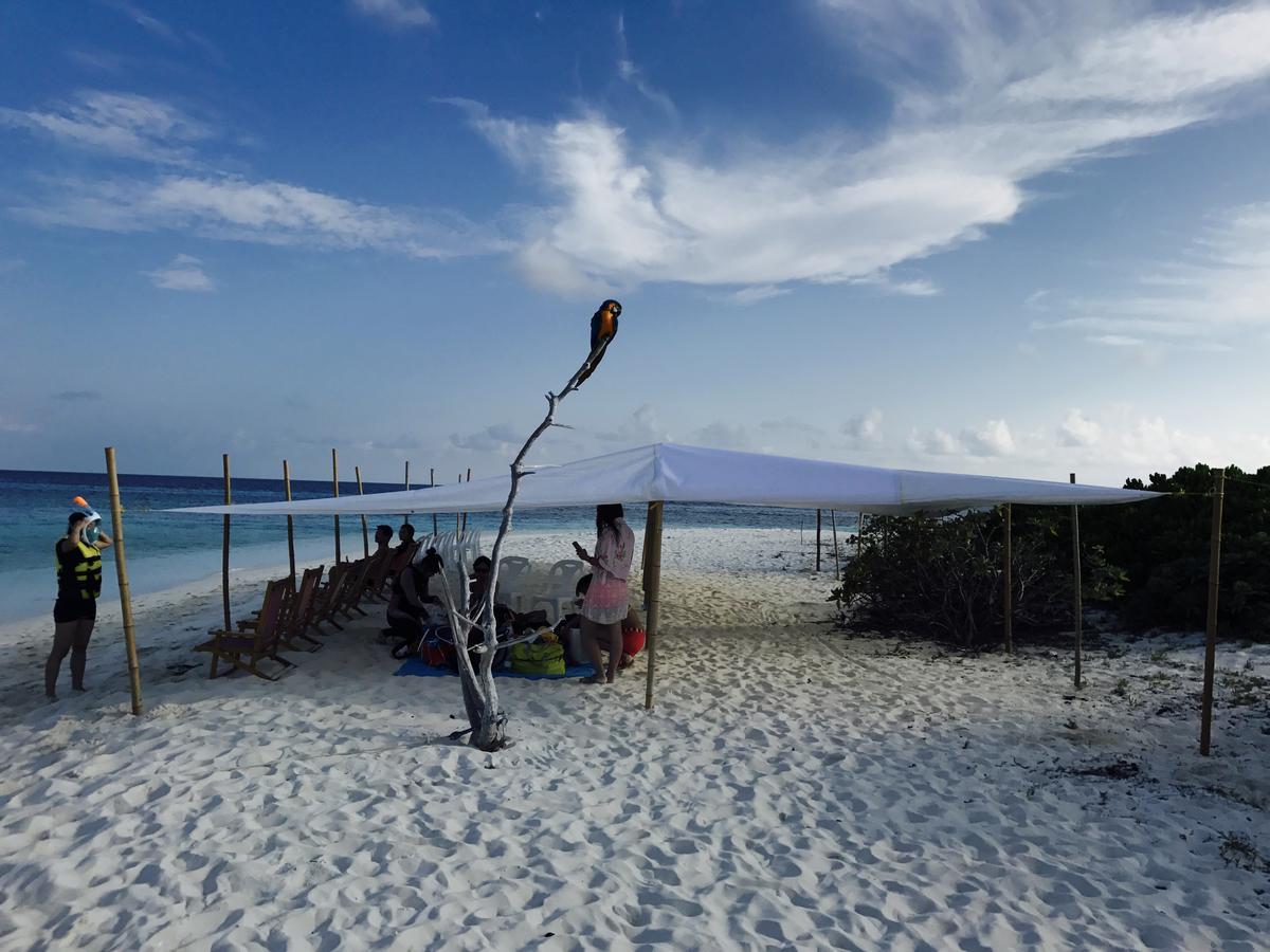 Noovilu Suites Maldives Mahibadhoo Екстериор снимка