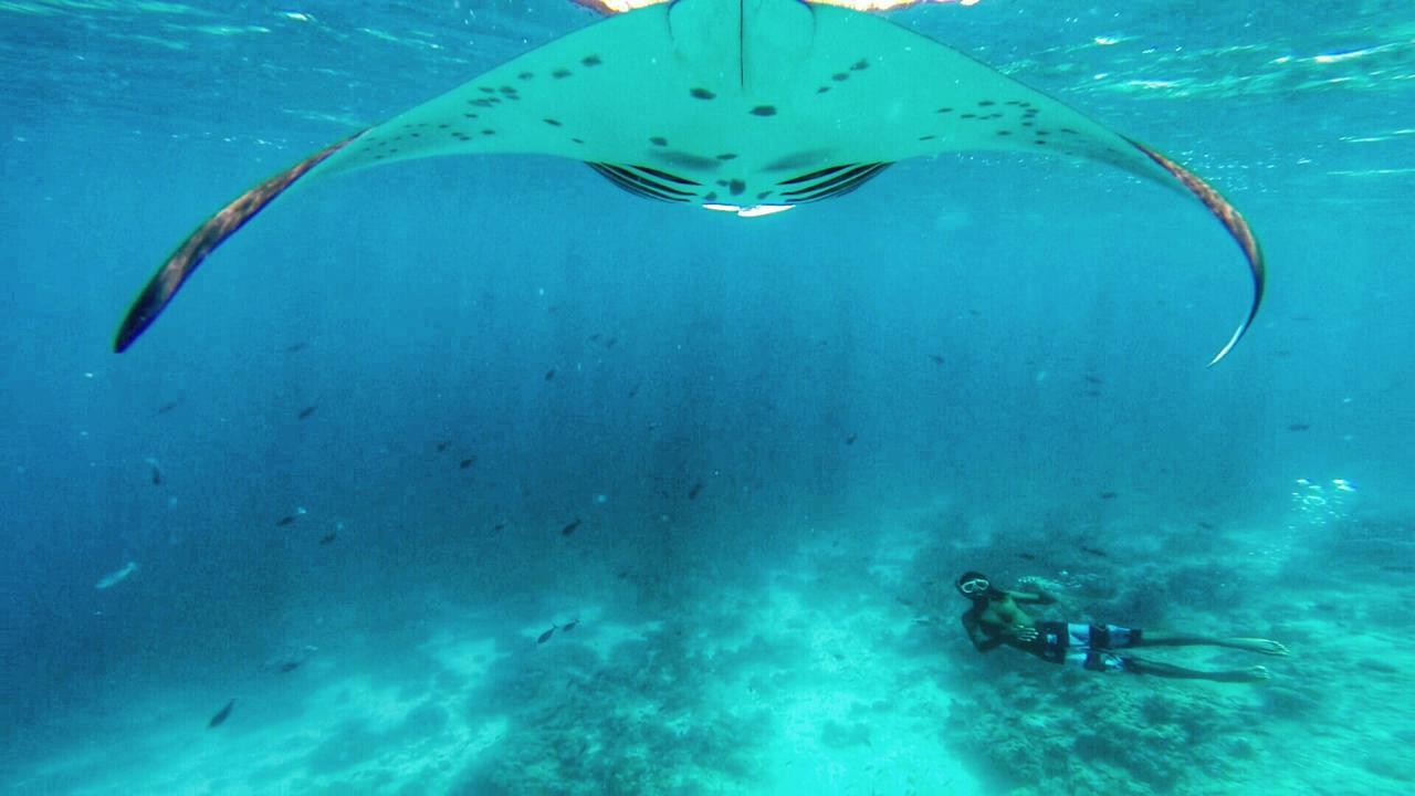 Noovilu Suites Maldives Mahibadhoo Стая снимка